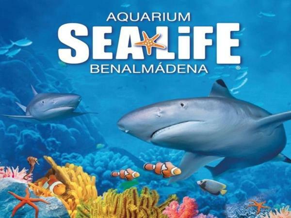 Апартаменты Sea View Studio Бенальмадена Экстерьер фото